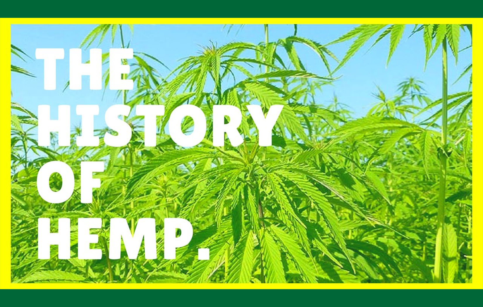 The History Of Hemp – Natural Vines LLC